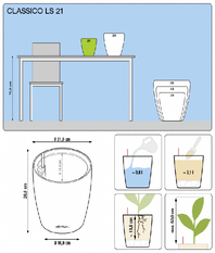 office plants